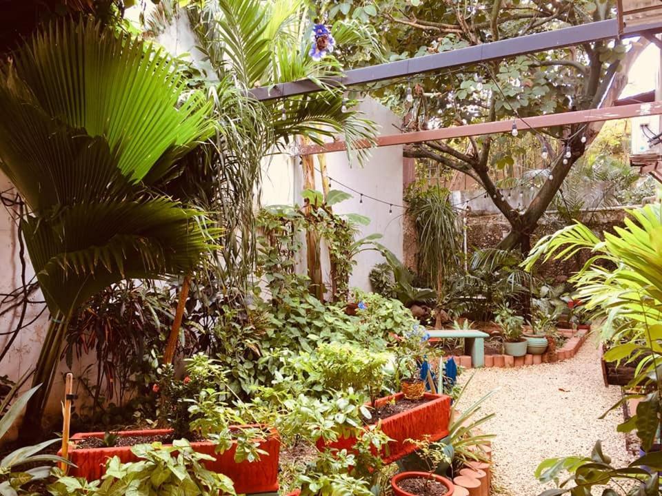 מרידה Hotel Casa Pellegrin מראה חיצוני תמונה